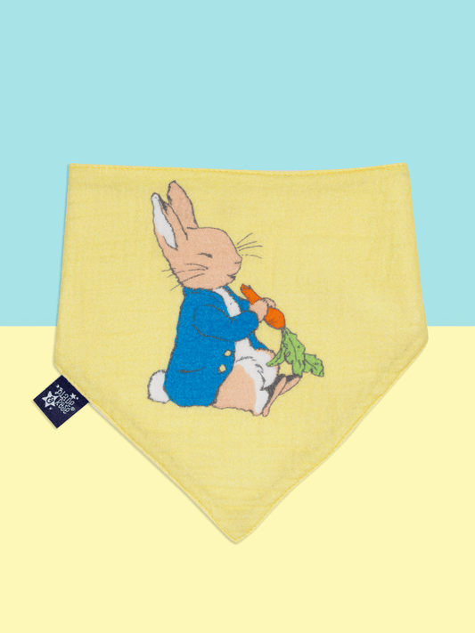 Peter Rabbit -2 pack bibs