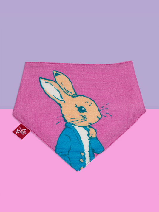Peter Rabbit - "love summer" 2 pack bibs