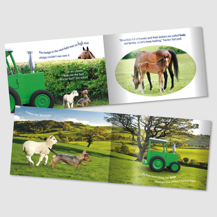 TRACTOR TED - LITTLE LOST LAMB STORY BOOK