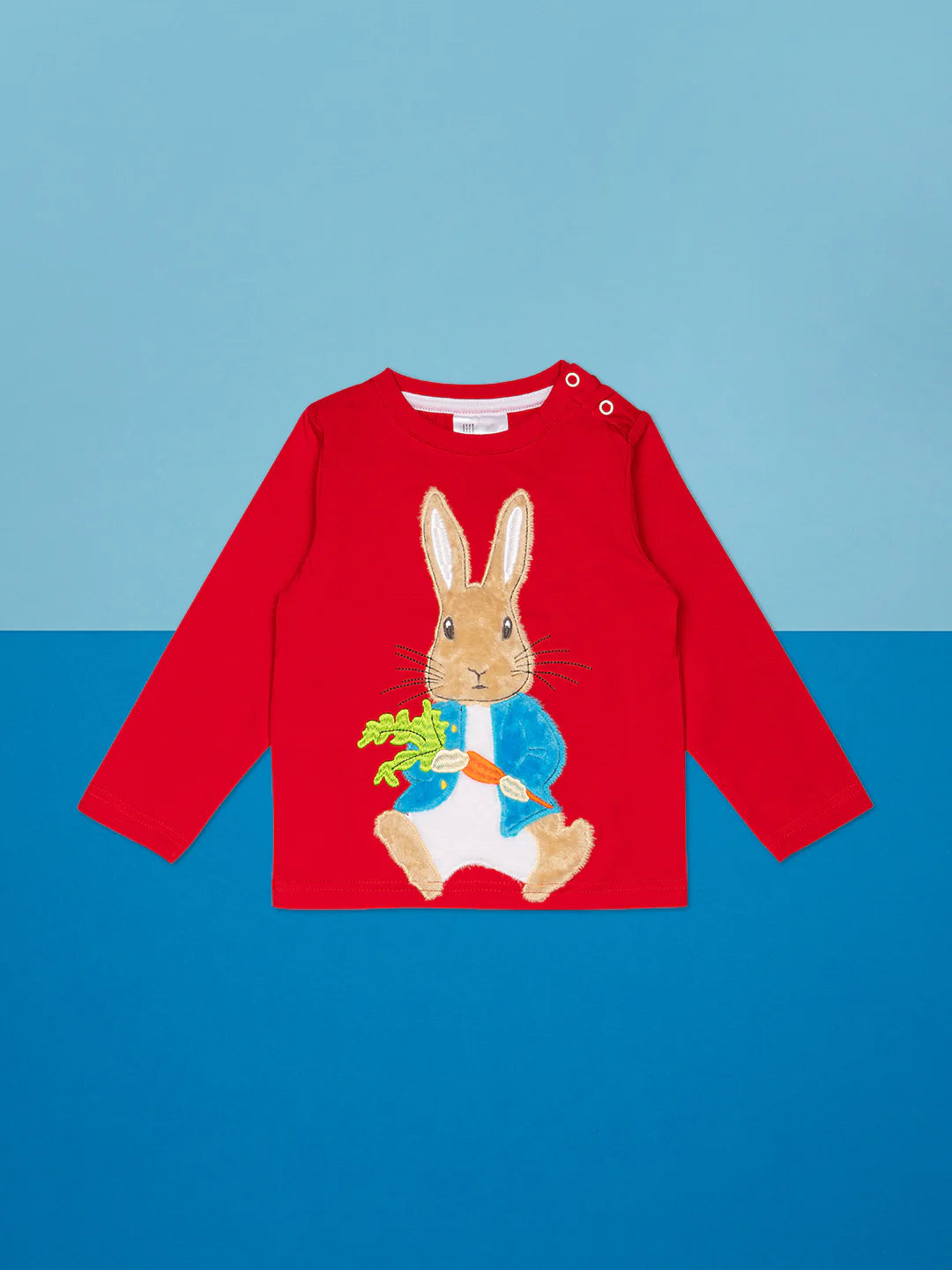 PETER RABBIT- BRIGHT IDEAS TOP