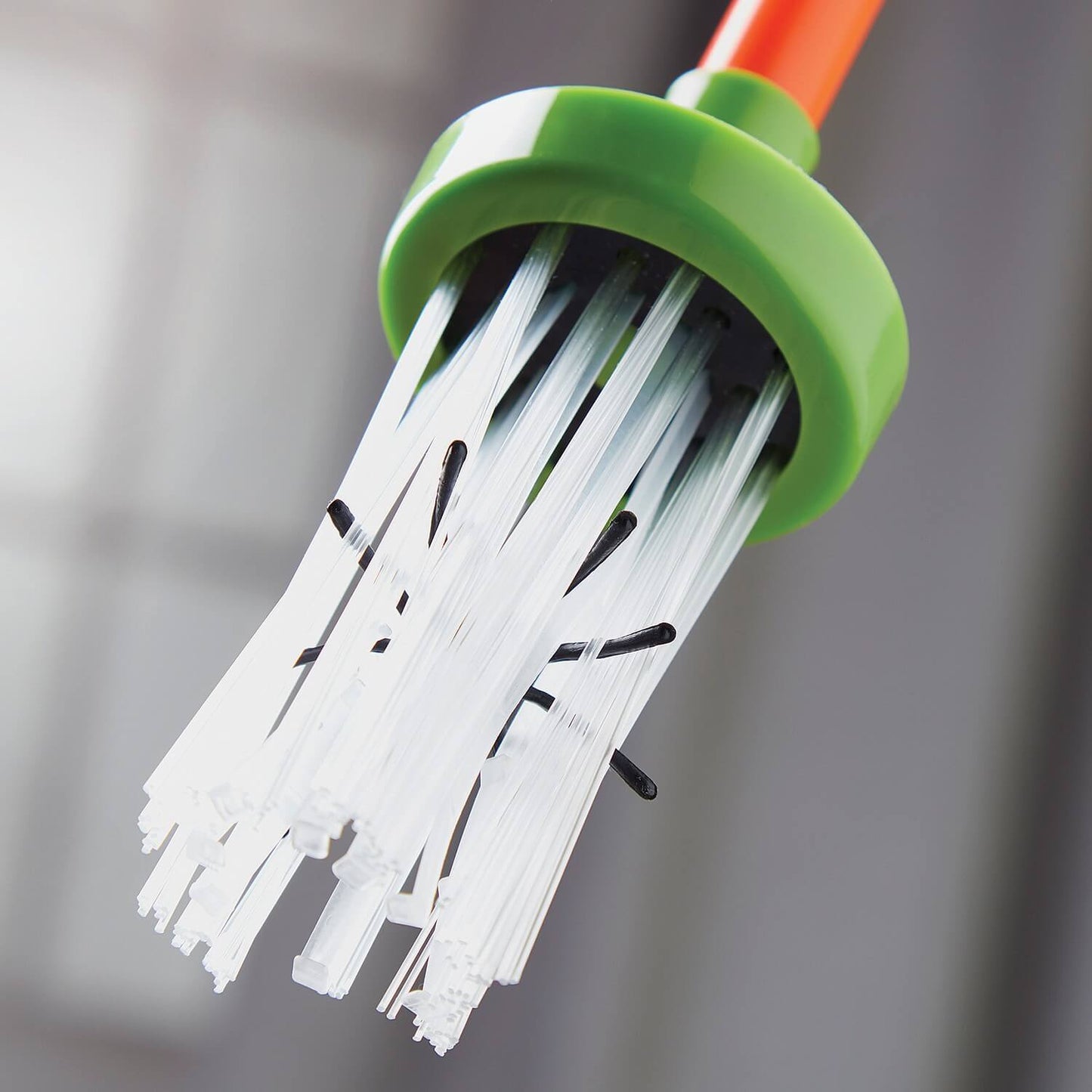 HANDY SPIDER CATCHER