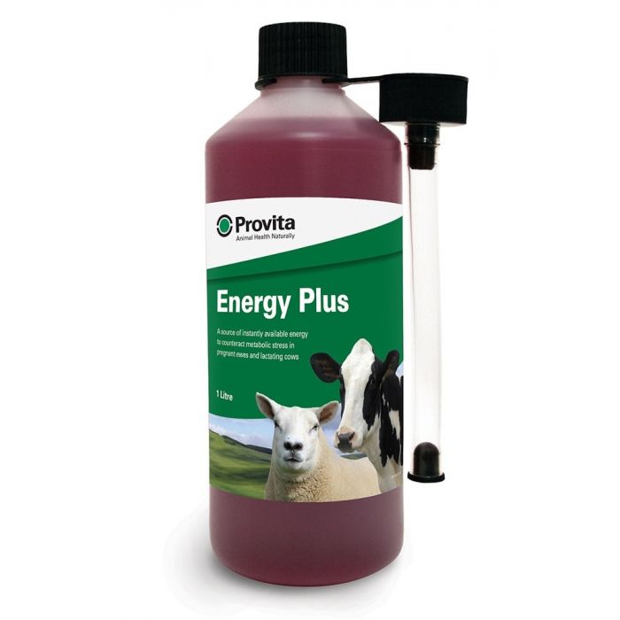 PROVITA - ENERGY PLUS 1L