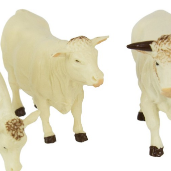 CHARLAIS COWS 3PACK