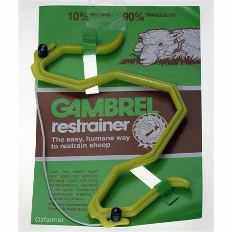 GAMBREL RESTRAINER