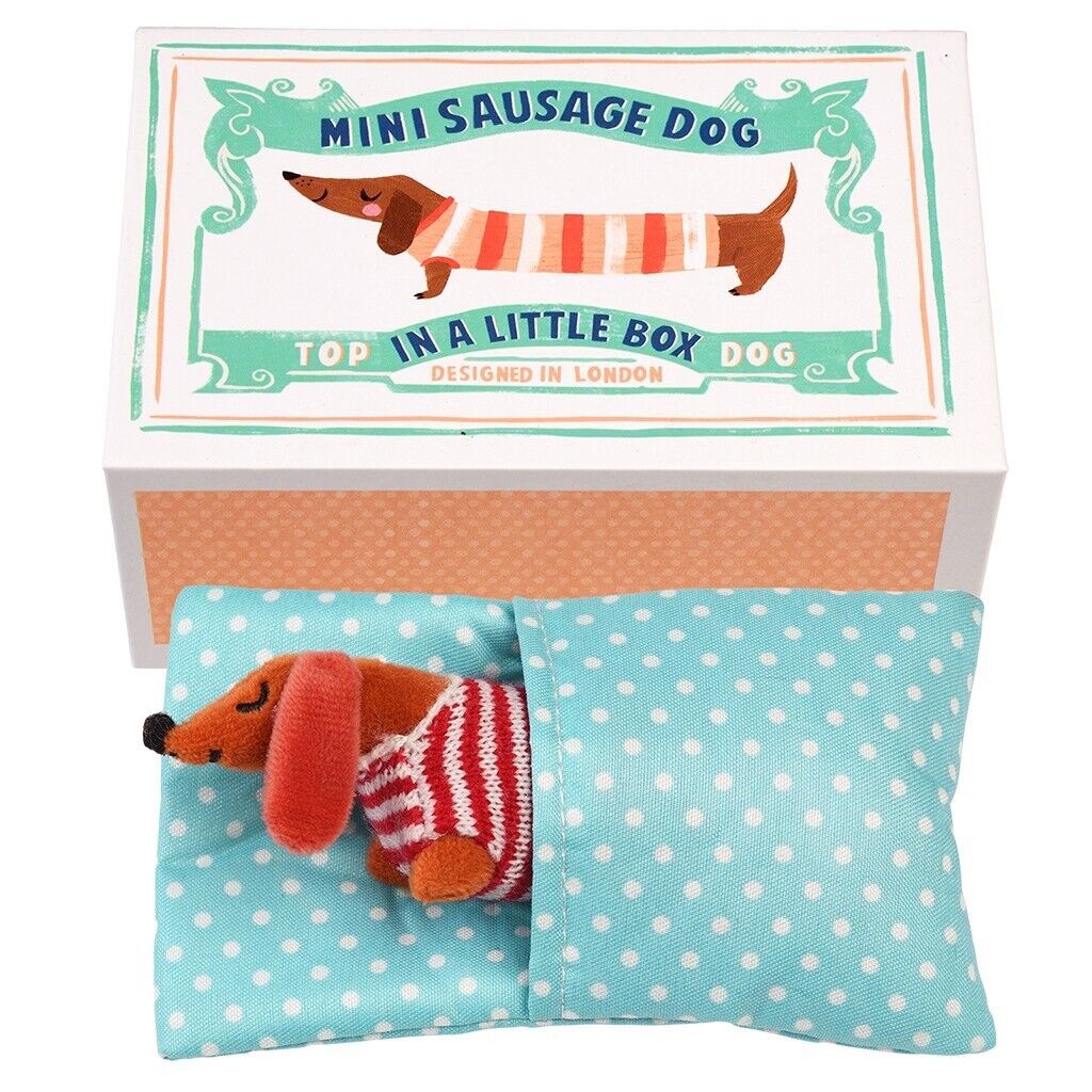 Mini Sausage Dog - In a little Box